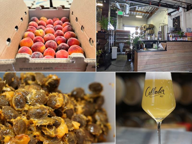 Cellador Ales - Barrel House & Bottle Shop business photo