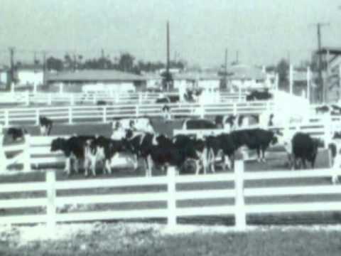 Farming in Torrance, Early History & Demise - Torrance Centennial video thumbnail